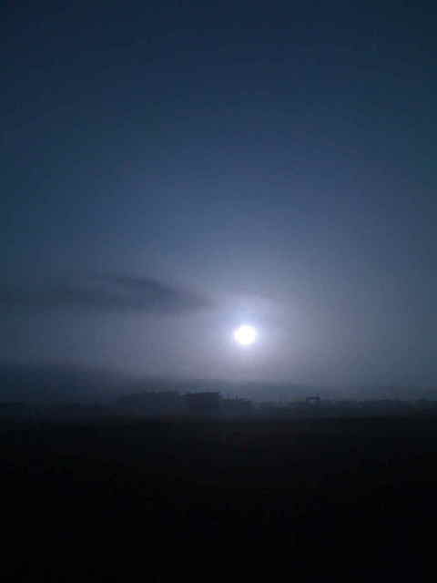 霧