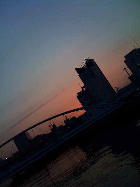 6日没
