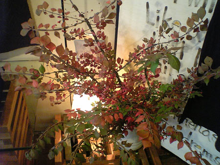 051028-05.jpg