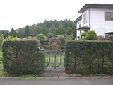 CIMG4016