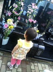 th_DSC01727