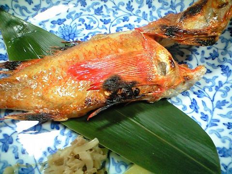 高級魚っす