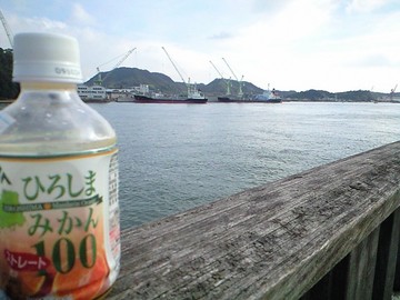 造船所を眺めて一息・・・