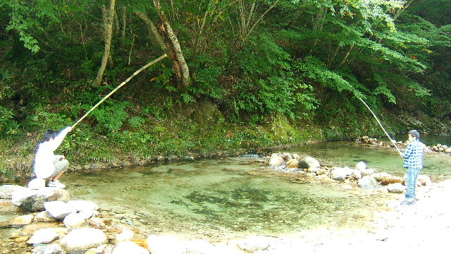 DSCF3905
