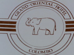 RIMG0041