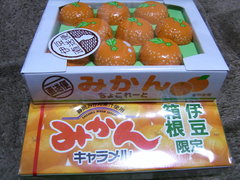 RIMG0232