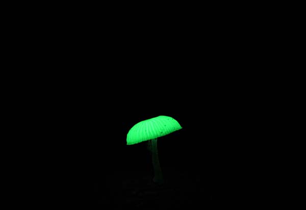 20091113 007