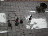 7-29D&D3