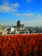 DSCN3871-s