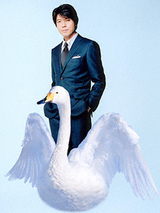 swan