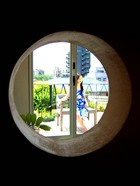 HARA_CAT-2