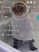 CAT2