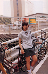 FUJI-22