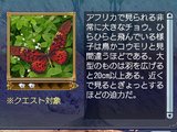 アゲハ