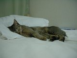 くるみ1