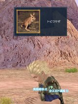 トビウサギ
