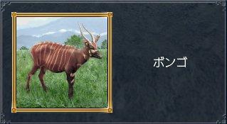ボンゴ