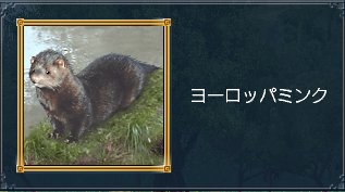 ヨーロッパミンク