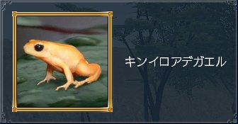 キンイロアデガエル