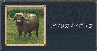 アフリカスイギュウ