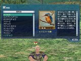 カワセミ