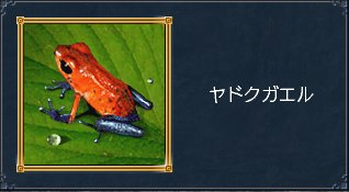 ヤドクガエル