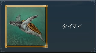タイマイ