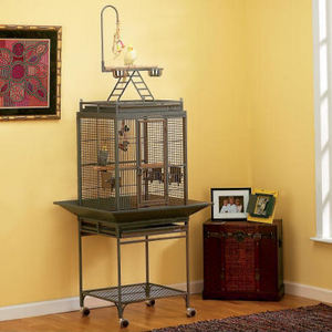 bird cage_02