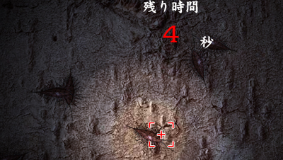 �����굡�
