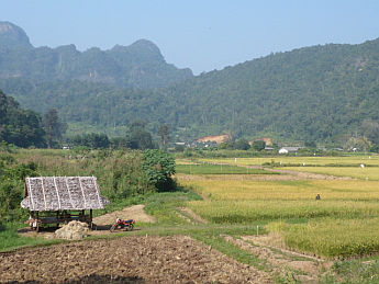 4_meehongson