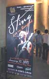 stingbkk