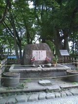 979151a3.jpg