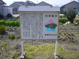 038fd625.JPG