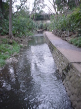 136d3a69.JPG