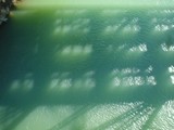 e071eb65.JPG