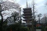 sensouzi-3