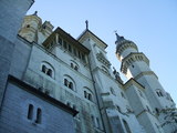 noi11