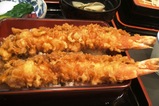 tendon