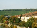 viltu11