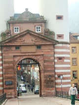 haidel7