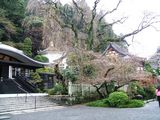 minobu9