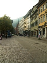 haidel1