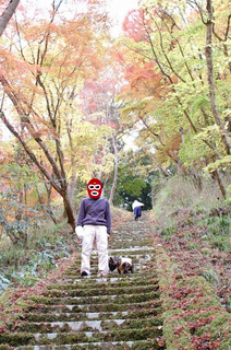 御霊もみじ