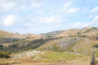 平尾台