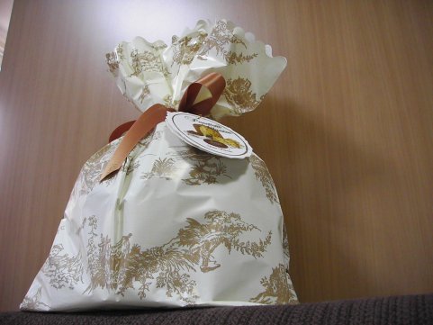 �ѥͥȡ���2006_03