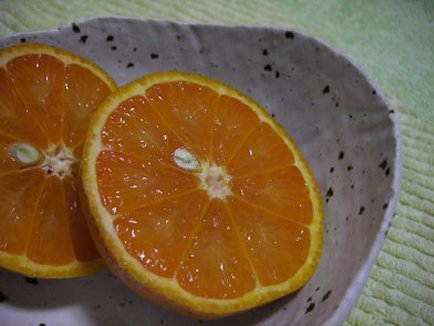 タンカン5