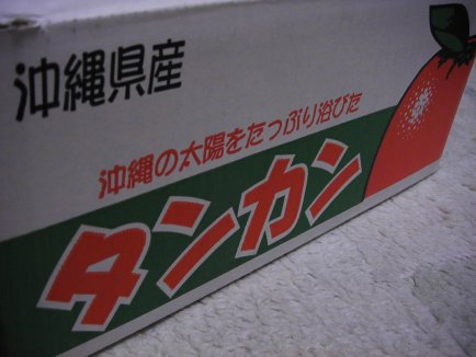 タンカン2