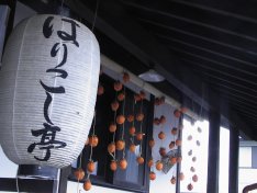 �Ϥꤳ����1