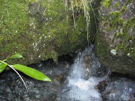 gosensui1