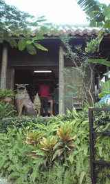 771e2e88.jpg